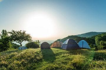 Many tents in the mountain. Sunshine morning in the forest.