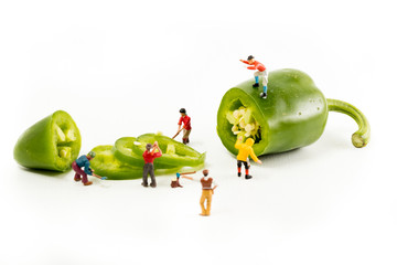 People Working with Food, Miniature people harvesting a Pepper/Jalapeno, construction site