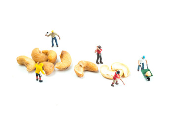 People Working with Food, Miniature people harvesting nuts/cashews, construction site
