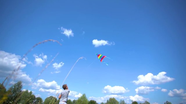 Cute white kid playing colorful kite outdoor at summer meadow or park. WIde angle video footage of boy isolated at sunny blue sky background.