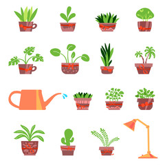 Vector illustration, isolated potted plants set including lamp and watering can. Flat style. Can be used as interior elements, applicable for bright home decorations leaflets, hygge illustrations etc.