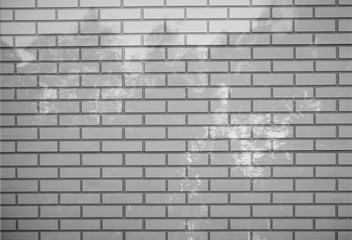 tree shadows on white brick wall texture background