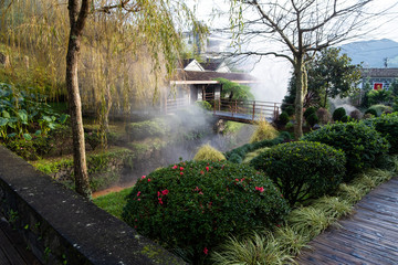 garden in the spring with bridge