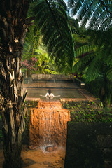 person bathing in the hot spring in the jungle