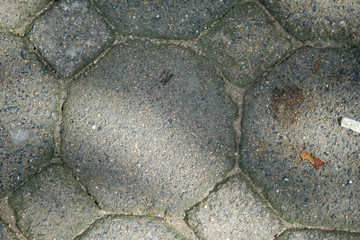 Brick octagonal walkway pavement