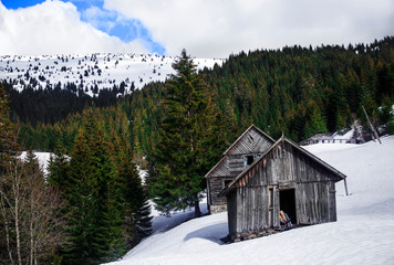 Beautiful view of the mountains and forest in sunny day. Two wooden houses with pretty long hair girl in one of them
