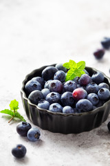 Fresh ripe garden blueberries with sprigs of mint in a black baking bowl against grey concrete background