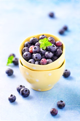 Fresh ripe garden blueberries with a sprig of mint in yellow bowl with dots against pastel blue background. Shallow depth of field