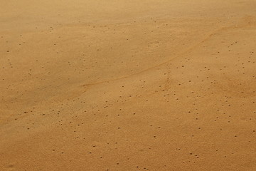 Beach Sand