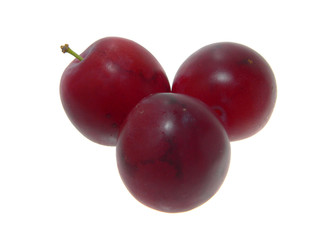 plum isolated on white background