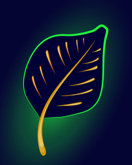leaf, neon, abstract, vector, night, bright