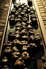 faces diformes