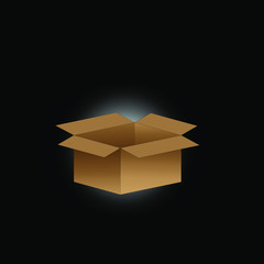 open cardboard box in the dark background