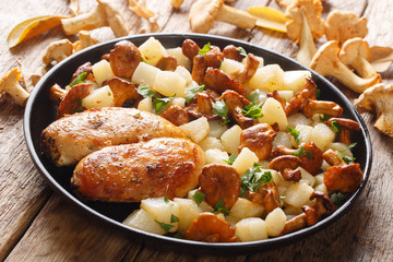 Delicious lunch of chicken breast with potato garnish and chanterelles closeup on a plate. horizontal