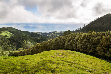 View of tree line go through green hills to atlantic ocean. Beautiful mountains on the Sao Miguel island, Azores