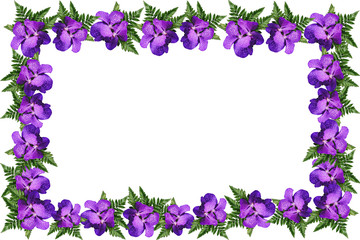 Fototapeta na wymiar 3:2 Picture Frame of Purple / Violet Orchid Flowers and Fern Leaves or Fronds. Isolated on White Background with Copy Space for Text and Clipping Path or Selection Path Included.