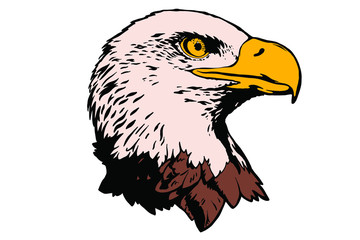 Vector bird. Eagle illustration. Good for logos and posters.