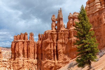 hoodoos in bryce canyon national park