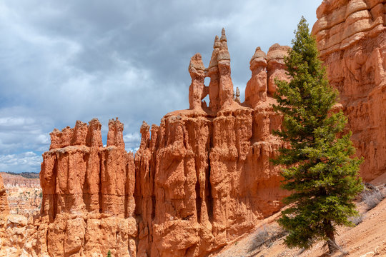 hoodoos in bryce canyon national park