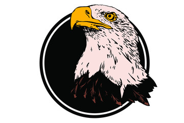 Vector bird. Eagle illustration. Good for logos and posters.