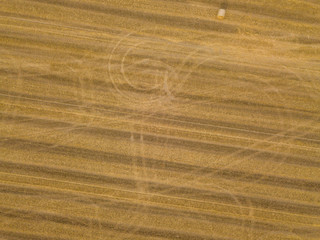 Aerial view of round straw bales of wheat lying on harvested field.
