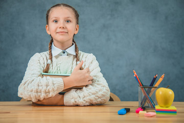 Astonished, nice and pretty girl is holding colorful books in her hands. Girl with braids is ready to study, eager learner.
