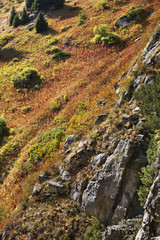Medeo valley. Kazakhstan