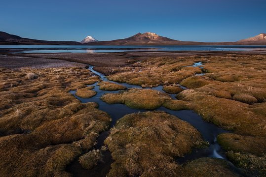 Moss-covered wetland lake at Lake Chungar&middot;, Dusk, Lauca National Park, Putre, Parinacota Province, Regi&Ucirc;n de Arica y Parinacota, Chile, South America