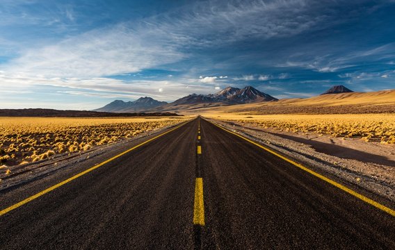 Road through the Atacama Desert, lined with yellow Peruvian feathergrass (Jarava ichu), behind volcanoes on the horizon, Ruta 23 road, San Pedro de Atacama, El Loa province, Antofagasta region, Norte Grande de Chile, Chile, South America