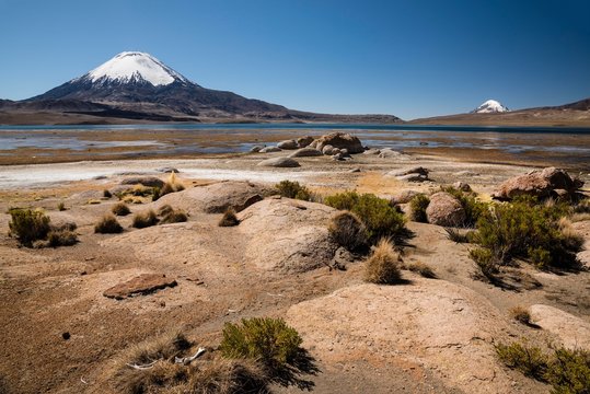 Volcano Parinacota with animal bones in the foreground, altitude 6348m, lake Lago Chungar&middot;, Lauca National Park, Putre, Parinacota Province, Regi&Ucirc;n de Arica y Parinacota, Chile, South America