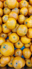 oranges in the market