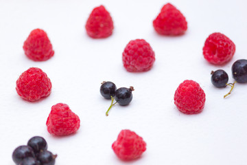 Summer background concept  from raspberries, currants on white background.