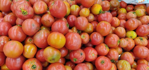Fresh Tomatoes in Market