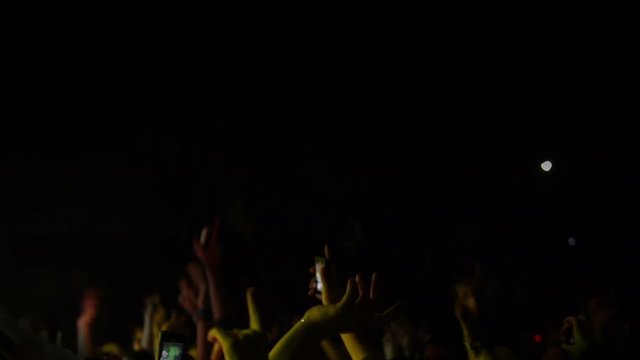 Audience at a concert is dancing