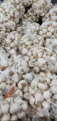 Pile of Garlic