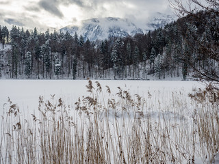 Winterlandschaft Allgäu - Grashalm