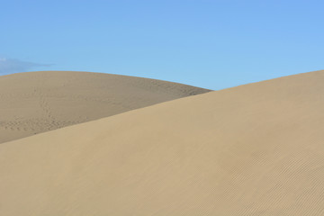 Fototapeta na wymiar The great dunes of the desert