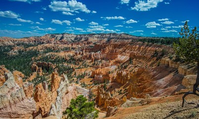 sunset point in bryce canyon