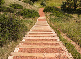 Looking down wooden steps of a well used walking path