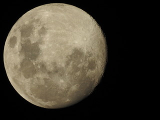 Fototapeta premium Full moon