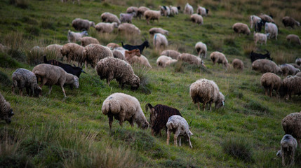Obraz premium Rural mountain landscape