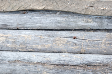 texture of old wooden Board