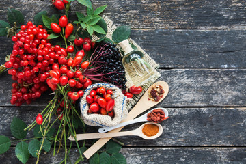 plants herbs composition: Dog rose, bunch branch Rosehips, types Rosa canina hips, essential oil....