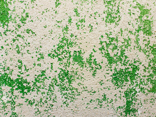 Abstract surface as green paint peeling off a concrete wall background. Old grungy, weathered painted construction structure. Cracked, dirty texture with plaster falling