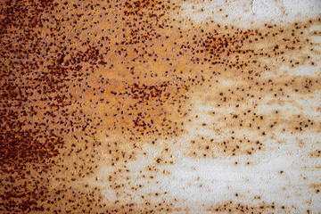 Rusted Grunge vintage wall background texture worn distressed weathered surface material