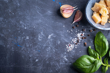 Ingredients and spice for cooking. Basil, garlic, salt, pepper and cheese on a dark background. Copy space.