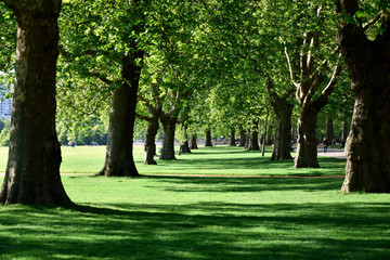 Fototapeta na wymiar Hyde Park in London, UK,