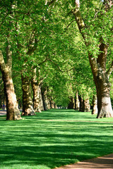 Hyde Park in London, UK,