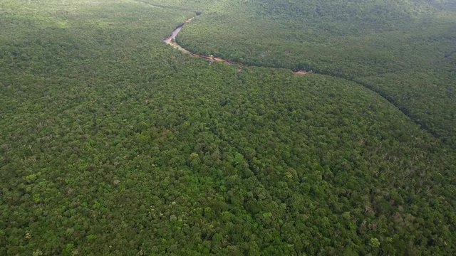Aerial view of Churun river.