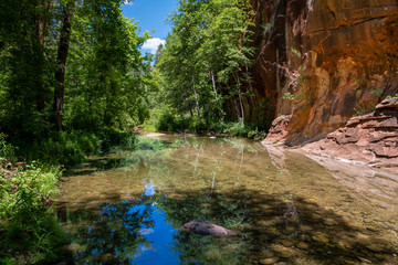Peaceful scene of a clear, still stream reflecting a lush green forest in a red rock canyon - Oak...
